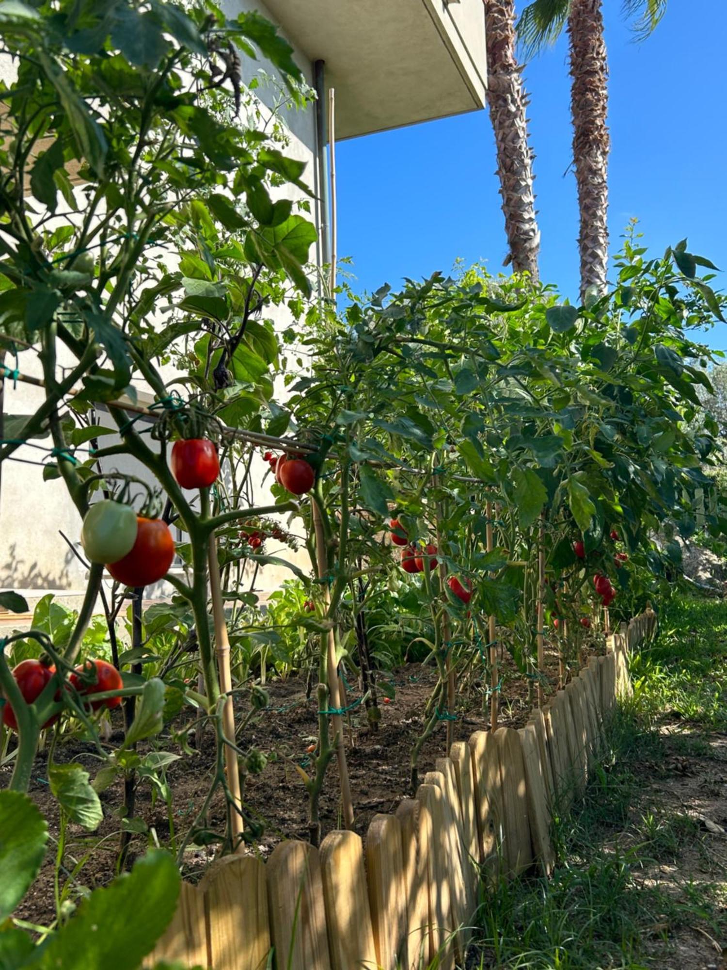 Alto Giardino Apartment Zambrone Luaran gambar