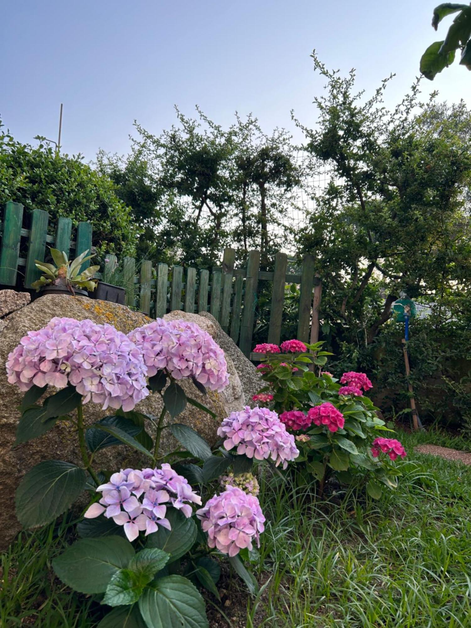 Alto Giardino Apartment Zambrone Luaran gambar