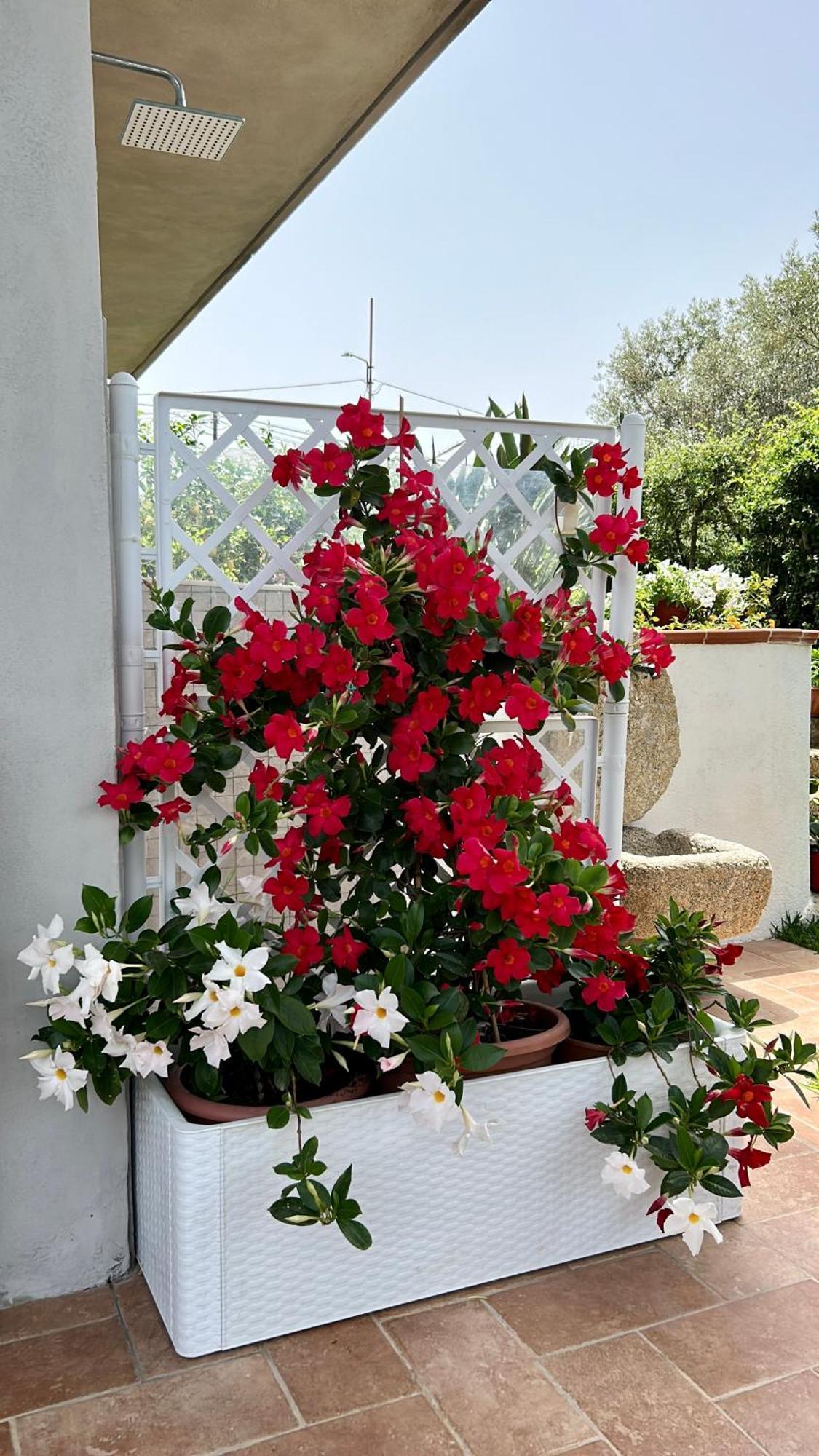 Alto Giardino Apartment Zambrone Luaran gambar