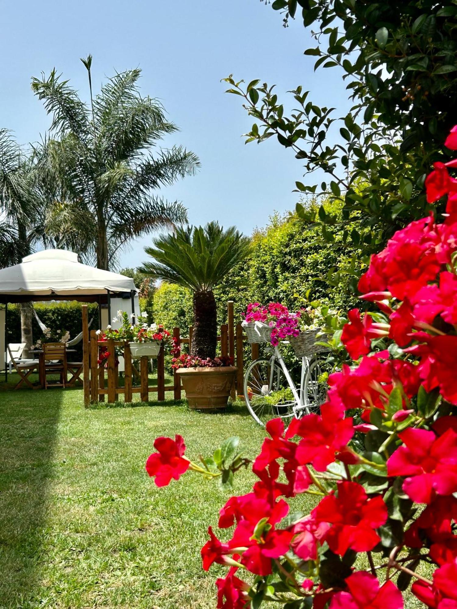 Alto Giardino Apartment Zambrone Luaran gambar