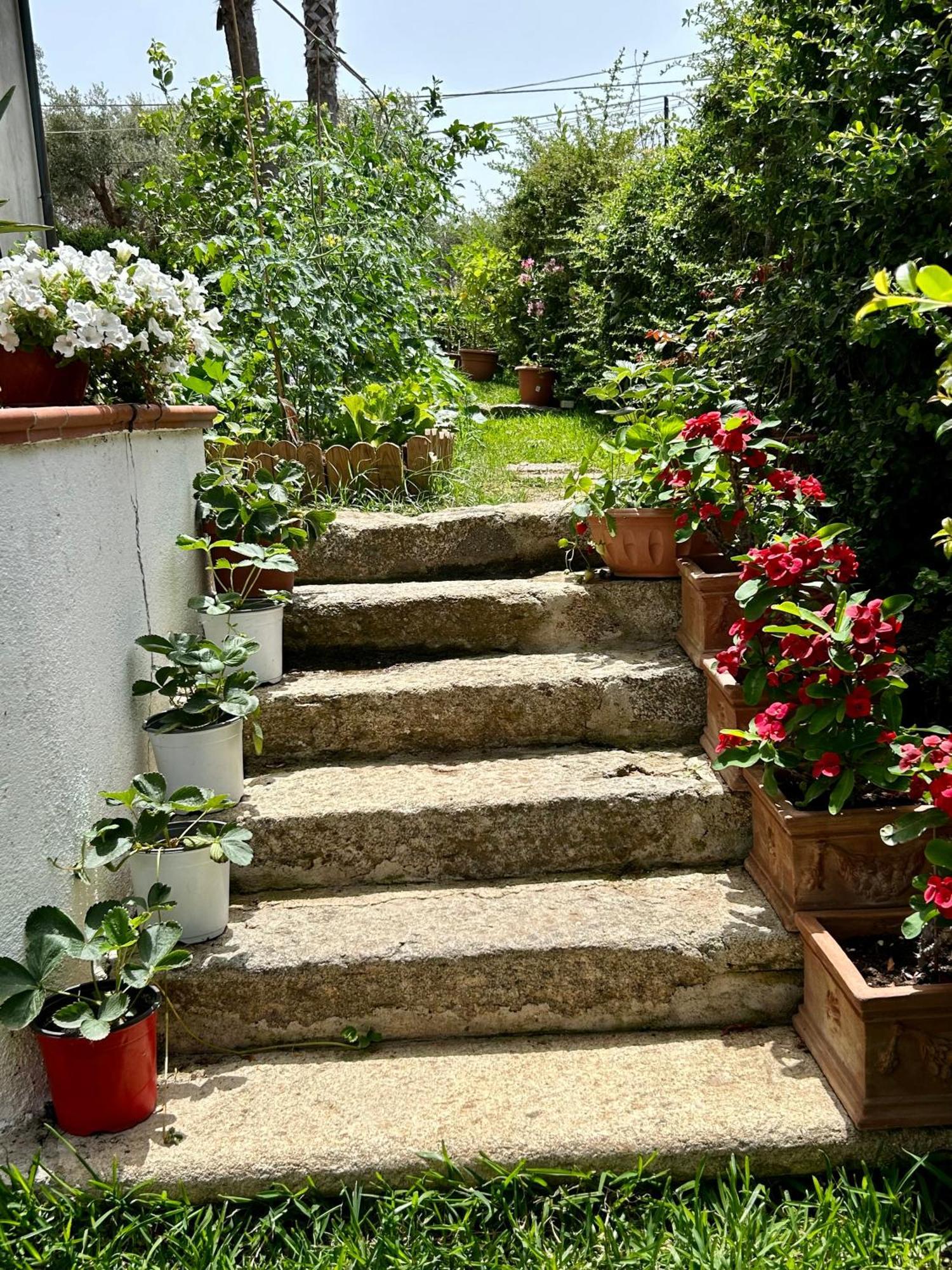 Alto Giardino Apartment Zambrone Luaran gambar